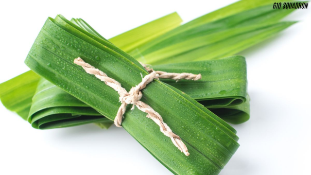 Manfaat Daun Pandan Untuk Kesehatan Tubuh