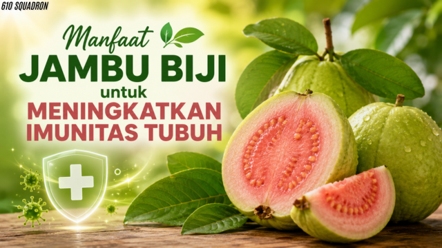 Manfaat Jambu Biji untuk Meningkatkan Imunitas Tubuh
