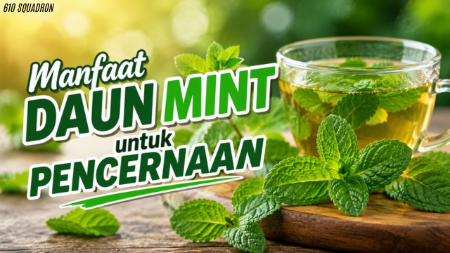 Manfaat Daun Mint untuk Pencernaan