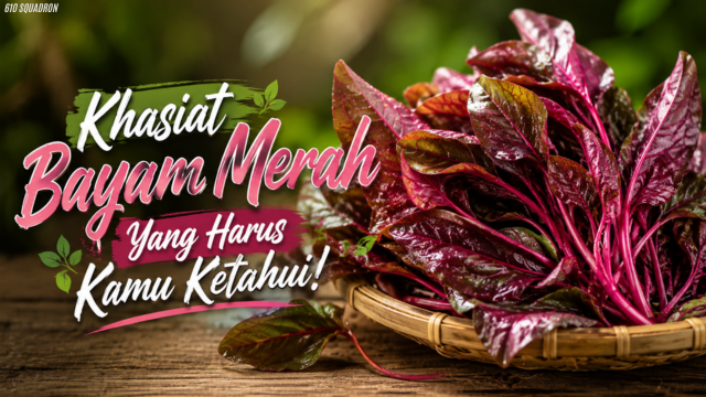 Khasiat Bayam Merah Yang Harus Kamu Ketahui!
