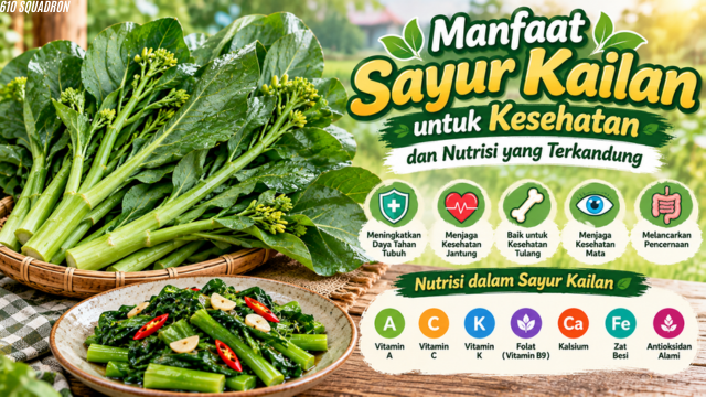 Manfaat Sayur Kailan untuk Kesehatan dan Nutrisi yang Terkandung